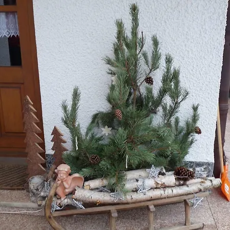 Apartament Haus Ellerbeck Bodenmais Zewnętrze zdjęcie
