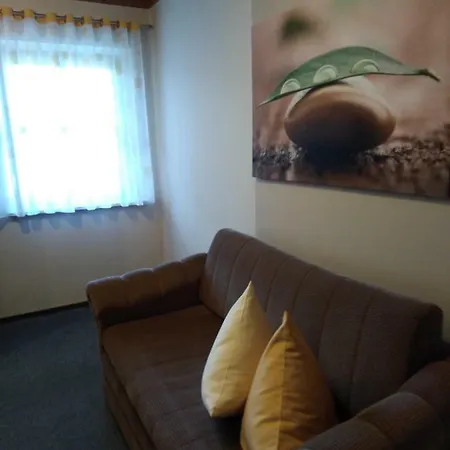 Apartament Haus Ellerbeck Bodenmais Zewnętrze zdjęcie